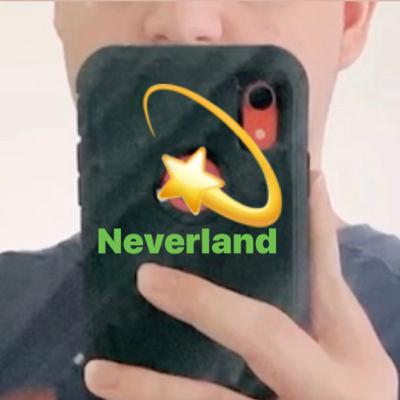 Neverland (Neverland The Musical) voice memo