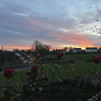 Sound Escape 254. Wake up to gentle birdsong in a sleepy village Sound Escape 254. Wake up to gentle birdsong in a sleepy village