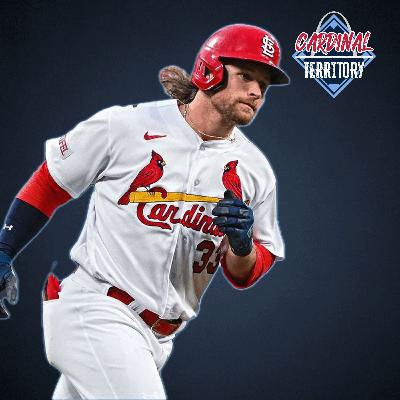 What are the Cardinals early plans for the offseason? What are the Cardinals early plans for the offseason?