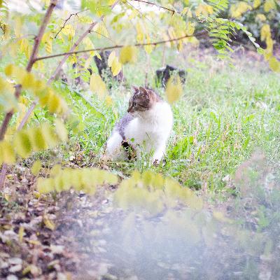 #6: тату, пірсинг і чи існує "квір" дрес-код