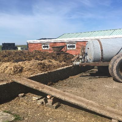 Dongbultmeditaasje Dongbultmeditaasje