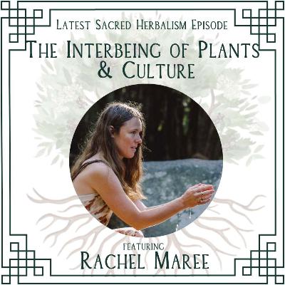 166. The Interbeing of Plants and Culture: Rachel Maree on Sacred Herbalism.