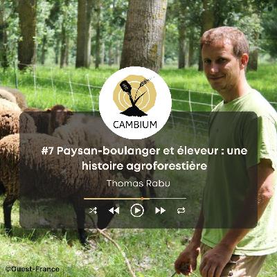 #7 - Paysan-boulanger et éleveur : une histoire agroforestière avec Thomas Rabu