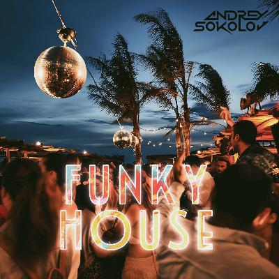 Andrey Sokolov - The Funk Injection (Constructs Session#1)