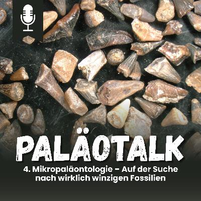 4. Mikropaläontologie – Auf der Suche nach wirklich winzigen Fossilien 4. Mikropaläontologie – Auf der Suche nach wirklich winzigen Fossilien