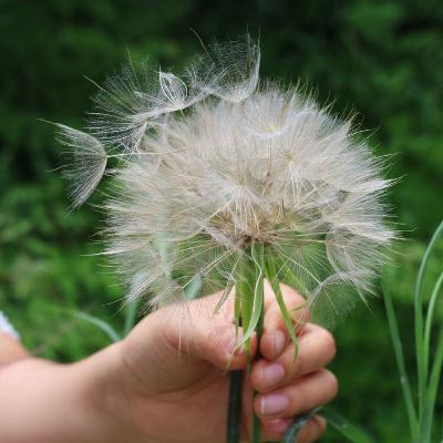 Comando para fazer antes das Refeições