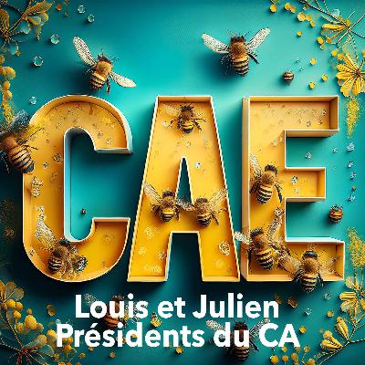 CAE : de la création d'une activité à la présidence d'un Conseil d'Administration
