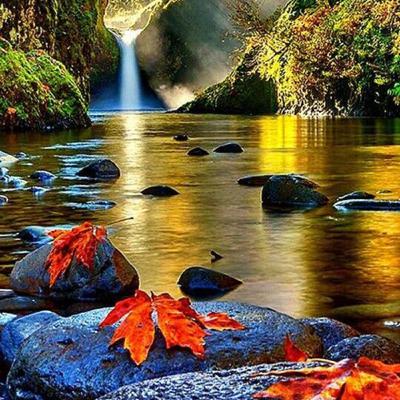 Cómo olvidar a tu ex 💔