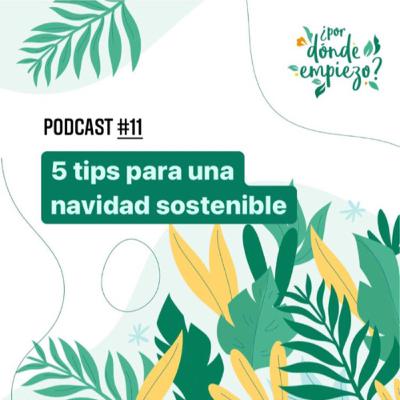 5 tips para una navidad más sostenible