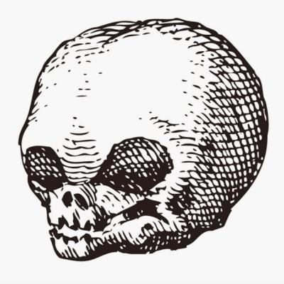 Intro to the Morbid Anatomy, with Joanna Ebenstein Intro to the Morbid Anatomy, with Joanna Ebenstein