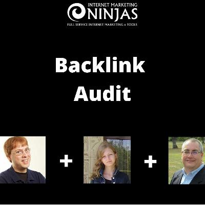 Auditing and Fixing a Backlink Profile with Bill Hartzer
