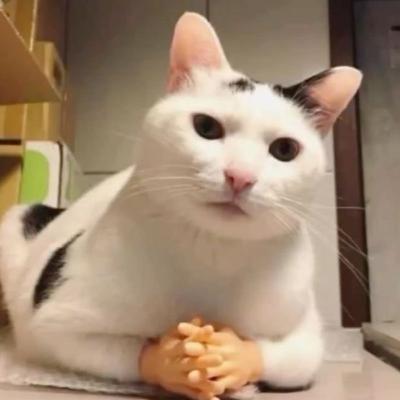 Storytime - Apoco sí, Tilín?