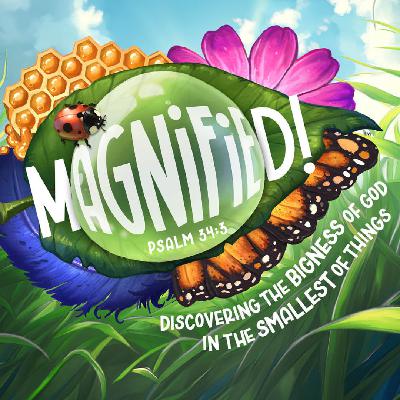 VBS Sunday - 06.29.25 VBS Sunday - 06.29.25