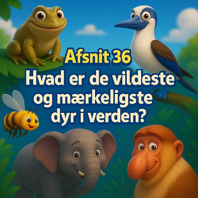 #36 Hvad er de vildeste og mærkeligste dyr i verden? #36 Hvad er de vildeste og mærkeligste dyr i verden?