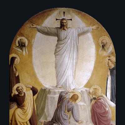 Participation in the Divine Nature: Aquinas and the Catholic Vision of Theosis – Fr. Gregory Pine, O.P.