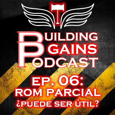 EP. 06 - ¿Es interesante utilizar un ROM Parcial?