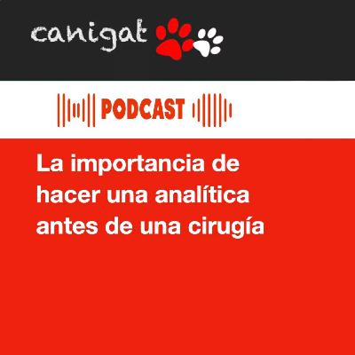 122 -La importancia de hacer una analítica antes de una cirugía