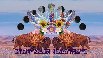 The Key to Ecological Healing