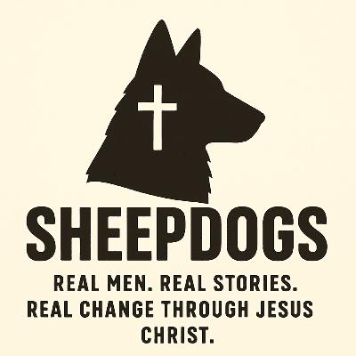 Trailer: Welcome to Sheepdogs!