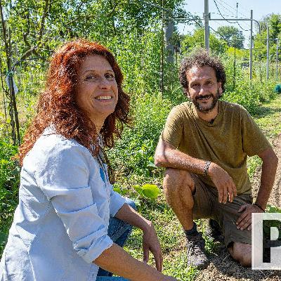 Orto e frutteto in agroforestazione. L'agricoltura del futuro
