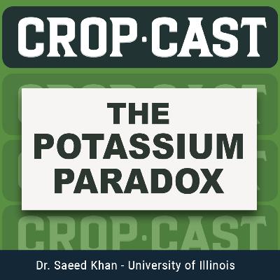 #43: The Potassium Paradox with Dr. S.A. Khan at University of Illinois
