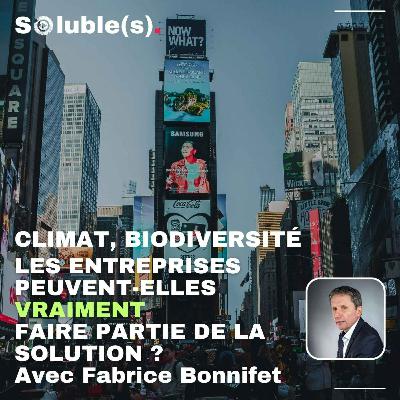 Climat, biodiversité : Les entreprises peuvent-elles vraiment faire partie de la solution ?