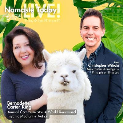 New Moon in Pisces — Namaste Today Live! (all 12 Signs) New Moon in Pisces — Namaste Today Live! (all 12 Signs)