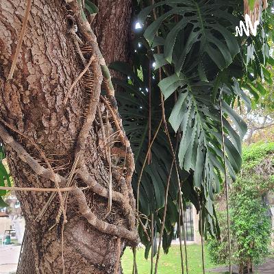 Meu casamento tava ótimo. Tava mesmo??!