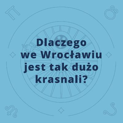 Dlaczego we Wrocławiu jest tak dużo krasnali?