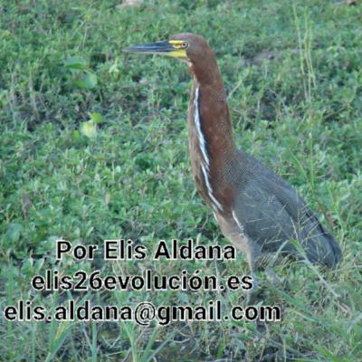OXITOCINA: LA HORMONA DEL AMOR