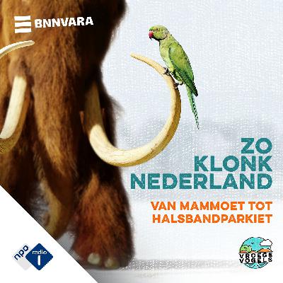 #5 - Zo klonk Nederland: oprukkend veen en binnenvallende Romeinen (S05)