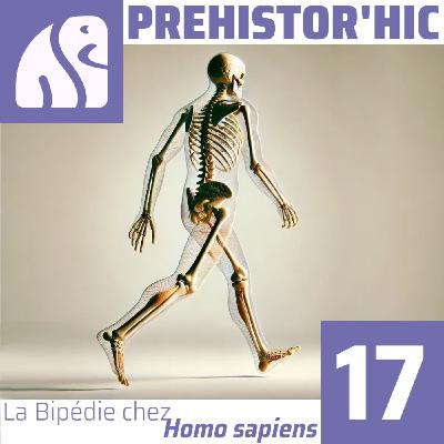 La Bipédie chez Homo sapiens