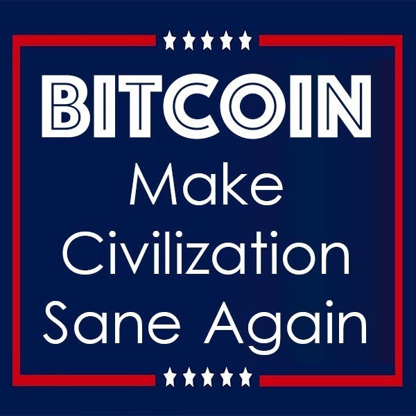 Bitcoin will make civilization sane again ["Bitcoin: Hard Money You Can't F*ck With" Book Review]