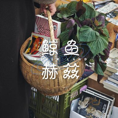 Vol.243 畅聊买书和读书的事儿，你说看书到底图啥？