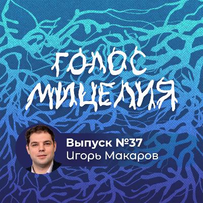 Выпуск №37. Экономист Игорь Макаров: «Стране необходимы специалисты, изучающие экологию»