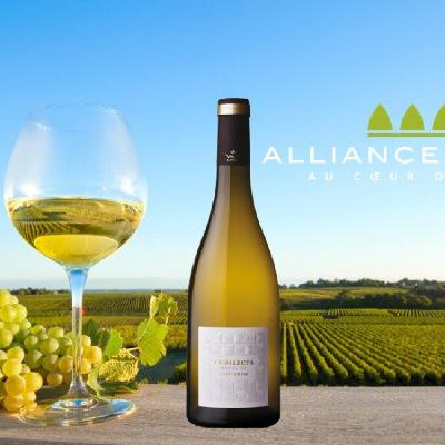 1004e émission - Les enjeux des Grands Vins de Loire : L'oenotourisme