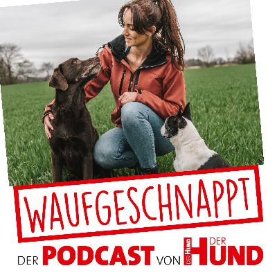 Trainerweiterbildung mit Folgen - Eva Birkenholz