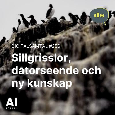 Sillgrisslor, datorseende och ny kunskap Sillgrisslor, datorseende och ny kunskap