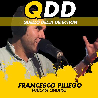Trailer QDD 2026