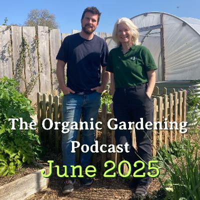S5 Ep6: June - An Experimental Permaculture Garden, with Huw Richards