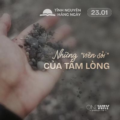 NHỮNG “VIÊN SỎI” CỦA TẤM LÒNG | Tĩnh Nguyện Hằng Ngày 23/01/2026 NHỮNG “VIÊN SỎI” CỦA TẤM LÒNG | Tĩnh Nguyện Hằng Ngày 23/01/2026