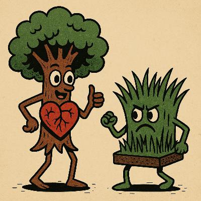Fringey Mini: Aorticulture