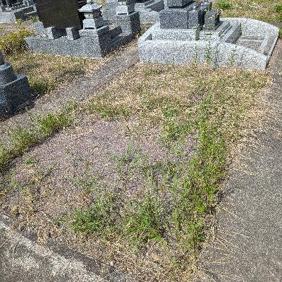 第82回 雑なメニュー