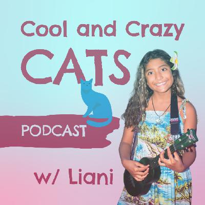 Cat Shows: What are they and how are cats judged in them?