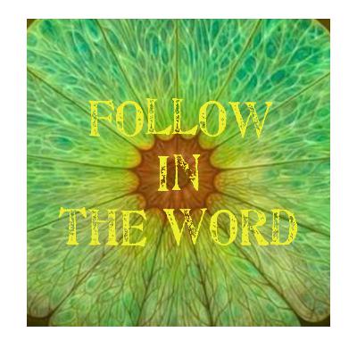 Matthew 12,13,14