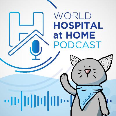 Technology & HaH: What Works, What Doesn’t, and What’s Next | WHAHC Congress Catch-Up