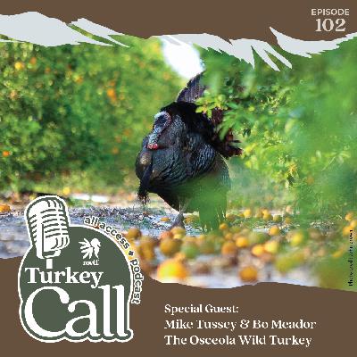 EP 102 The Osceola Wild Turkey with Bo Meador and Mike Tussey
