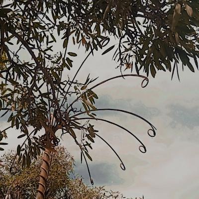Eps. 09 : TERLARUT