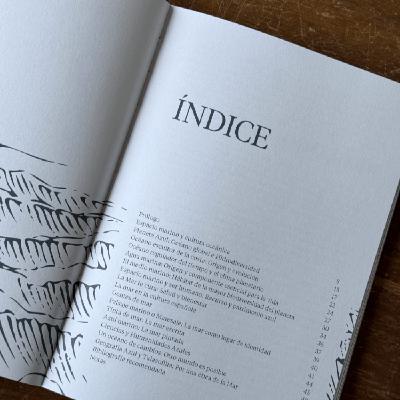 Música, Surf, Medio Ambiente Programa nº 429 7.5.2024