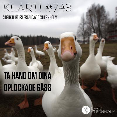 Ta hand om dina oplockade gäss